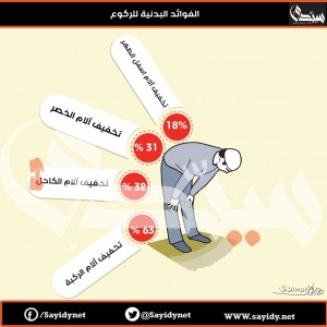 صورة 2