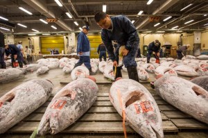 3-tsukiji-market2