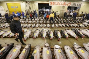 3-tsukiji-market4