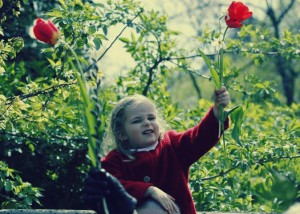 spring-songs-674x480